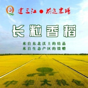 前進(jìn)農(nóng)場優(yōu)質(zhì) 長粒香水稻